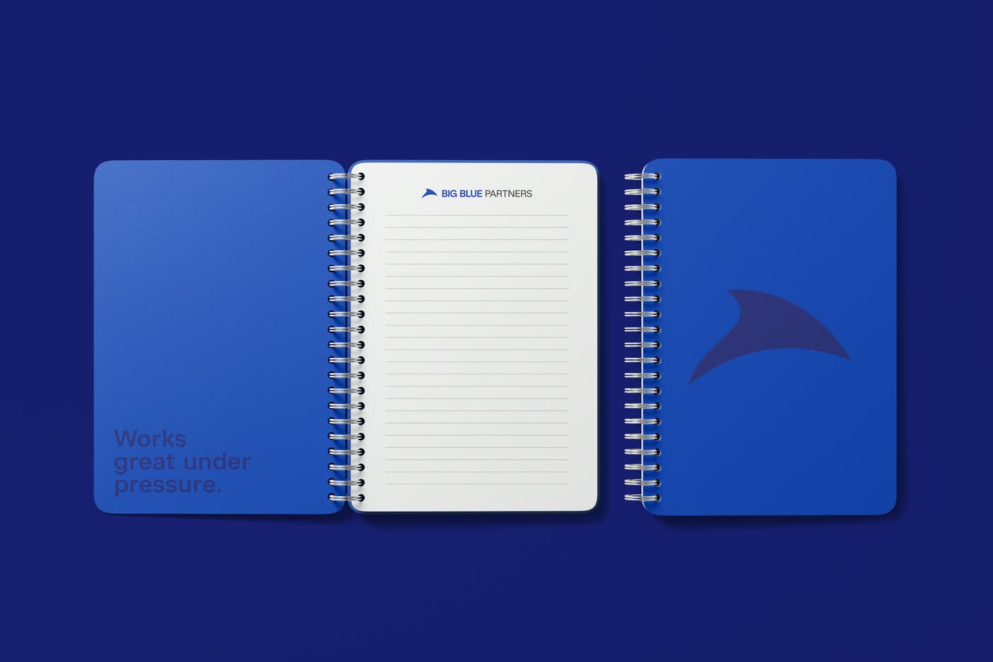 Big Blue Partners