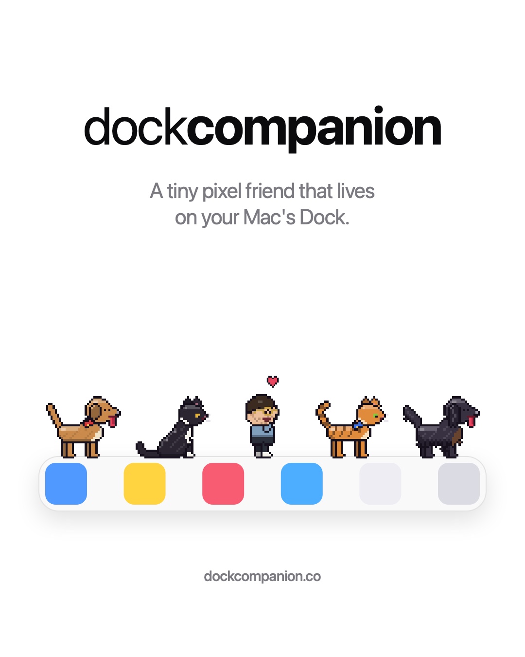 Dock Companion
